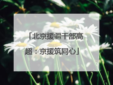 北京援疆干部高超：京援筑同心