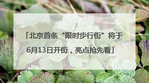 北京首条“限时步行街”将于6月13日开街，亮点抢先看