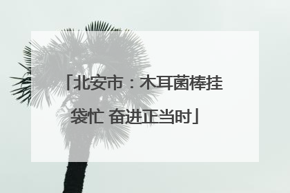 北安市：木耳菌棒挂袋忙 奋进正当时