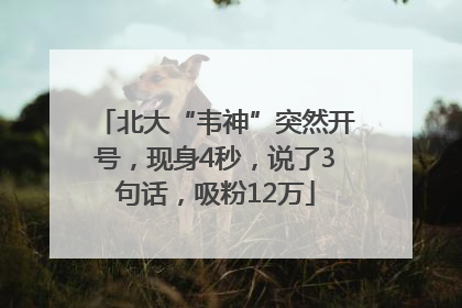 北大“韦神”突然开号，现身4秒，说了3句话，吸粉12万