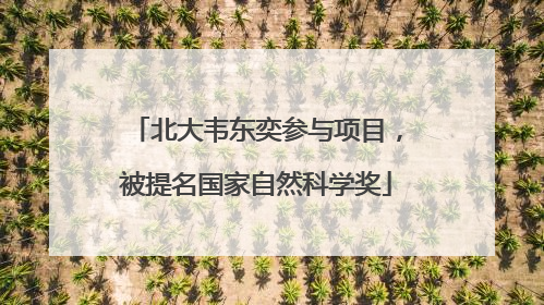 北大韦东奕参与项目，被提名国家自然科学奖