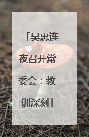 吴忠连夜召开常委会：教训深刻