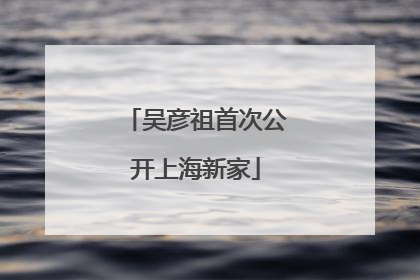 吴彦祖首次公开上海新家