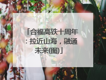 合福高铁十周年：拉近山海，融通未来(图)