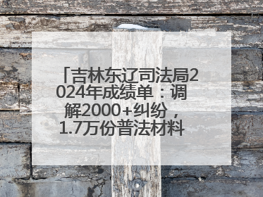 吉林东辽司法局2024年成绩单：调解2000+纠纷，1.7万份普法材料飞入百姓家！