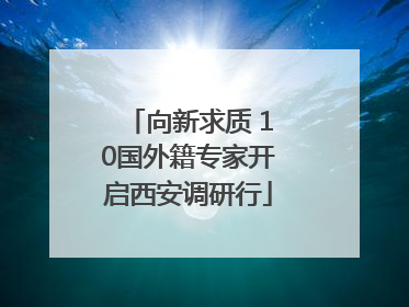向新求质 10国外籍专家开启西安调研行