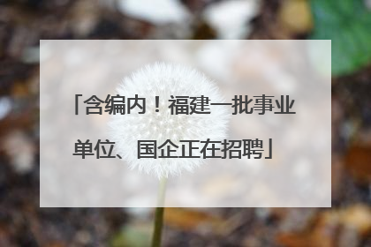 含编内！福建一批事业单位、国企正在招聘