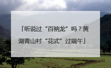 听说过“百衲龙”吗？黄湖青山村“花式”过端午