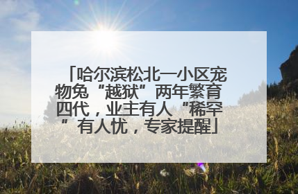 哈尔滨松北一小区宠物兔“越狱”两年繁育四代，业主有人“稀罕”有人忧，专家提醒