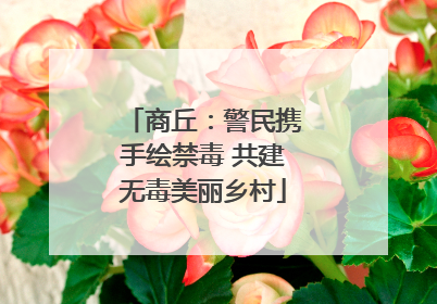 商丘：警民携手绘禁毒 共建无毒美丽乡村