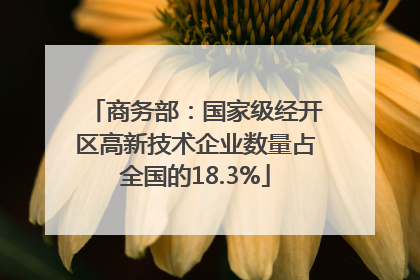 商务部：国家级经开区高新技术企业数量占全国的18.3%