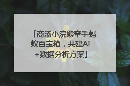 商汤小浣熊牵手蚂蚁百宝箱，共建AI+数据分析方案