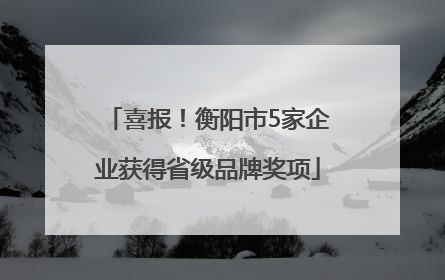 喜报！衡阳市5家企业获得省级品牌奖项