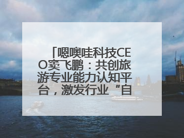 嗯噢哇科技CEO窦飞鹏：共创旅游专业能力认知平台，激发行业“自生长”力量
