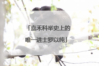 嘉禾科举史上的唯一进士罗以纯