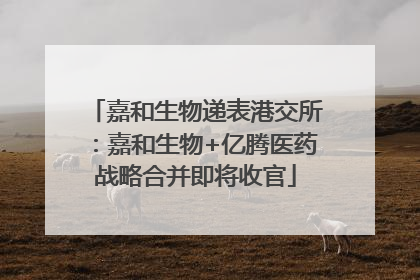 嘉和生物递表港交所：嘉和生物+亿腾医药战略合并即将收官