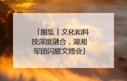 图集丨文化和科技深度融合，湖湘军团闪耀文博会