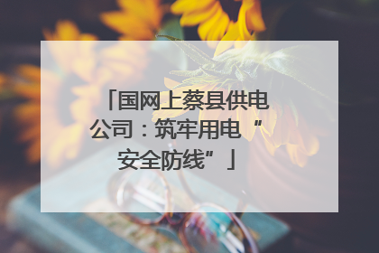 国网上蔡县供电公司：筑牢用电“安全防线”