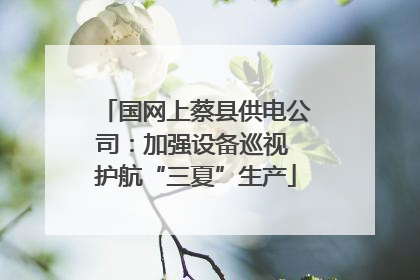国网上蔡县供电公司：加强设备巡视 护航“三夏”生产
