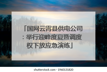 国网云霄县供电公司：举行迎峰度夏暨调度权下放应急演练