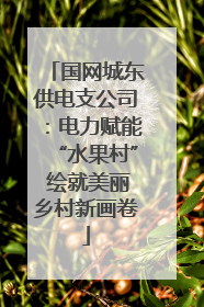 国网城东供电支公司：电力赋能“水果村” 绘就美丽乡村新画卷