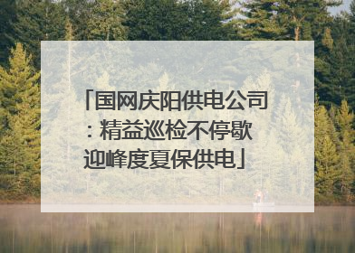 国网庆阳供电公司：精益巡检不停歇 迎峰度夏保供电