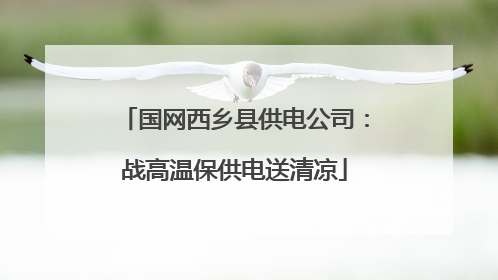 国网西乡县供电公司：战高温保供电送清凉