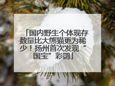 国内野生个体现存数量比大熊猫更为稀少！扬州首次发现“国宝”彩鹮