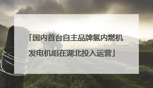 国内首台自主品牌氢内燃机发电机组在湖北投入运营