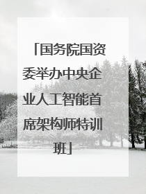 国务院国资委举办中央企业人工智能首席架构师特训班