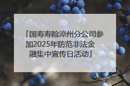 国寿寿险漳州分公司参加2025年防范非法金融集中宣传日活动