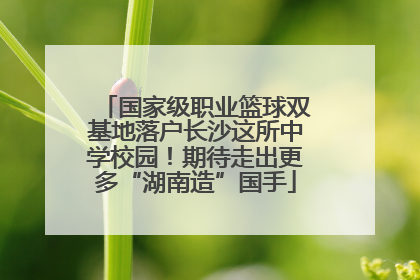 国家级职业篮球双基地落户长沙这所中学校园！期待走出更多“湖南造”国手