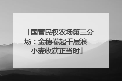 国营民权农场第三分场：金穗卷起千层浪 小麦收获正当时
