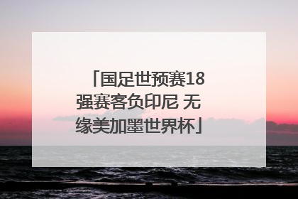 国足世预赛18强赛客负印尼 无缘美加墨世界杯