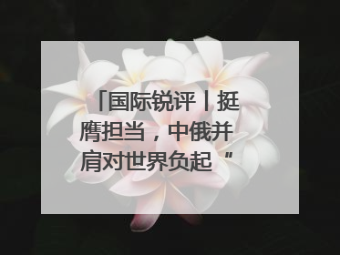国际锐评丨挺膺担当，中俄并肩对世界负起“特殊责任”