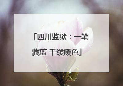 四川监狱：一笔藏蓝 千缕暖色