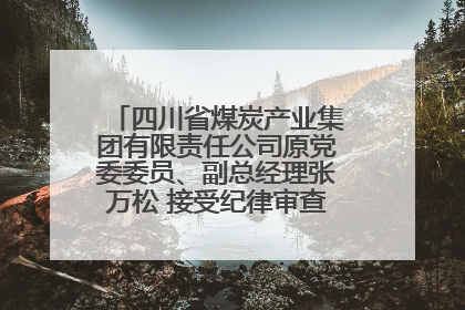 四川省煤炭产业集团有限责任公司原党委委员、副总经理张万松 接受纪律审查和监察调查