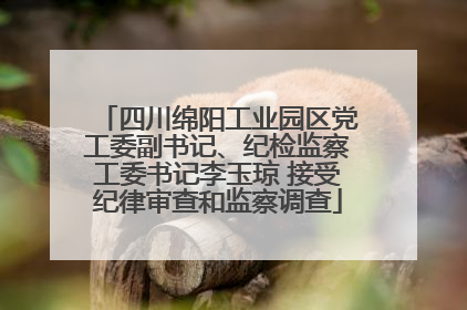 四川绵阳工业园区党工委副书记、纪检监察工委书记李玉琼 接受纪律审查和监察调查