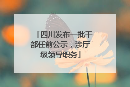 四川发布一批干部任前公示，涉厅级领导职务