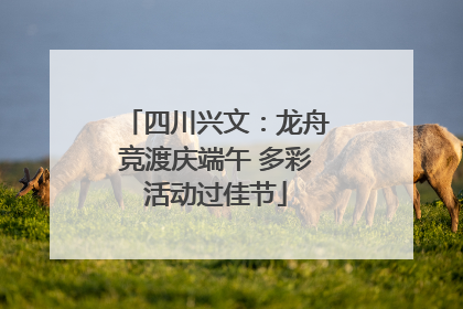 四川兴文：龙舟竞渡庆端午 多彩活动过佳节