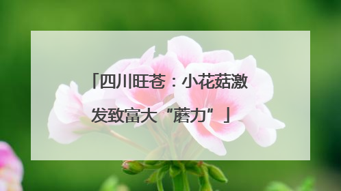 四川旺苍：小花菇激发致富大“蘑力”