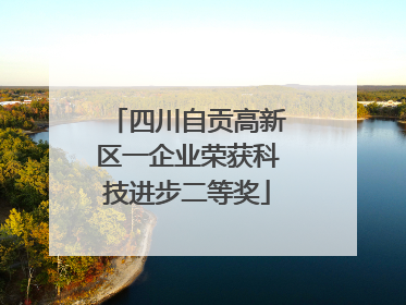 四川自贡高新区一企业荣获科技进步二等奖