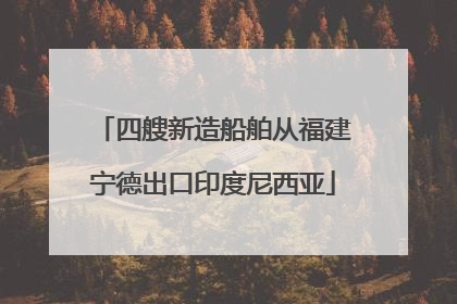 四艘新造船舶从福建宁德出口印度尼西亚
