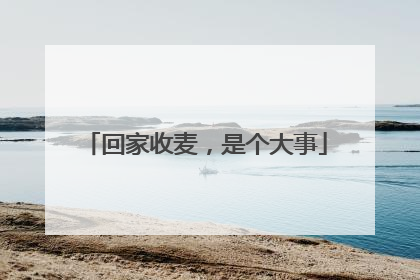 回家收麦，是个大事