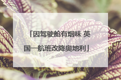 因驾驶舱有烟味 英国一航班改降奥地利