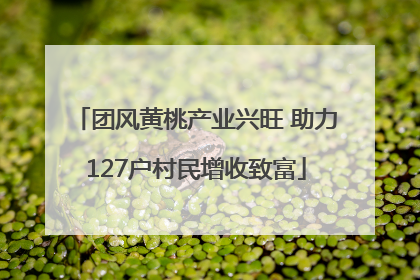 团风黄桃产业兴旺 助力127户村民增收致富