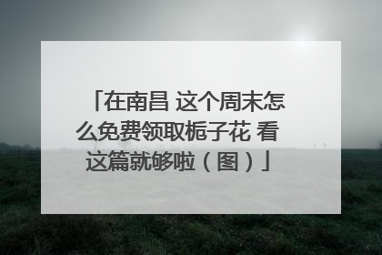 在南昌 这个周末怎么免费领取栀子花 看这篇就够啦（图）