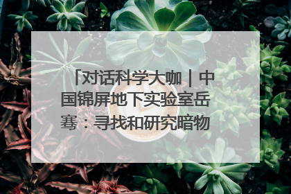 对话科学大咖｜中国锦屏地下实验室岳骞：寻找和研究暗物质，就是要去突破人类的认知边界
