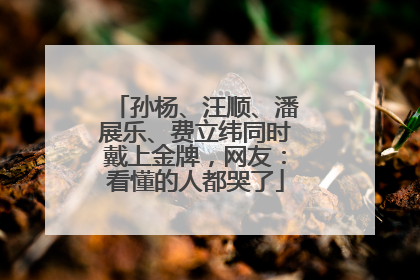 孙杨、汪顺、潘展乐、费立纬同时戴上金牌，网友：看懂的人都哭了