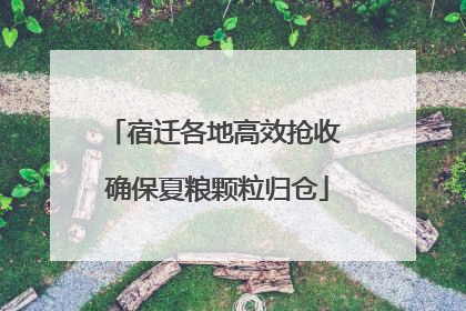 宿迁各地高效抢收 确保夏粮颗粒归仓